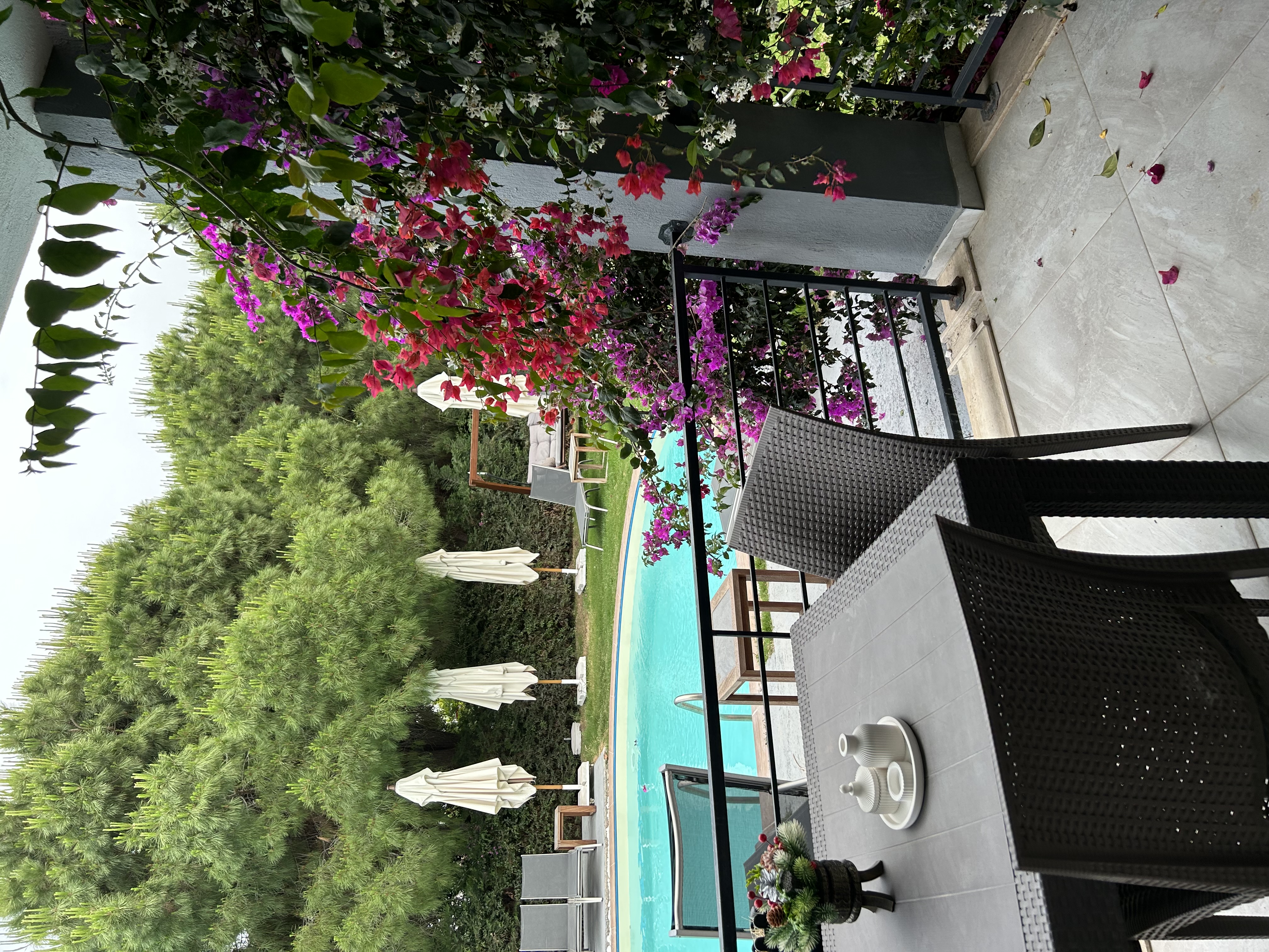 Balkon ve çiçekler